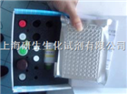 小鼠丝氨酸/苏氨酸蛋白磷酸酶ELISA试剂盒