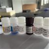 牛巴氏杆菌PCR
